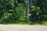 Land for sale in Pa Khlok, Phuket