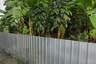 Land for sale in Khlong Tan Nuea, Bangkok near Airport Rail Link Ramkhamhaeng