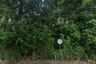 Land for sale in Thep Krasatti, Phuket