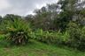 Land for sale in Pa Khlok, Phuket