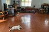4 Bedroom House for sale in Wichit, Phuket