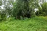 Land for sale in Kamala, Phuket