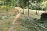 Land for sale in Kathu, Phuket