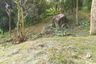 Land for sale in Kathu, Phuket