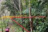 Land for sale in Ko Yao Noi, Phang Nga