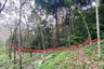 Land for sale in Ko Yao Noi, Phang Nga