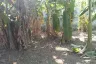 Land for sale in Bang Waek, Bangkok