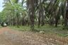 Land for sale in Khlong Khian, Phang Nga
