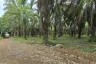 Land for sale in Khlong Khian, Phang Nga