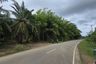 Land for sale in Khlong Khian, Phang Nga