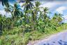 Land for sale in Bang Sai, Phang Nga
