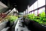 1 Bedroom Condo for rent in Noble Remix, Khlong Tan, Bangkok near BTS Thong Lo