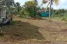 Land for sale in Thai Mueang, Phang Nga