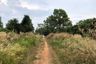 Land for sale in 