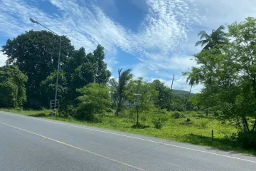 Land for sale in Mai Khao, Phuket