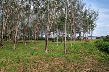 Land for sale in Mai Khao, Phuket