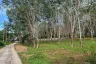 Land for sale in Mai Khao, Phuket