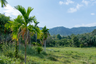 Land for sale in Nong Thale, Krabi