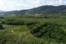 Land for sale in Ko Kaeo, Phuket