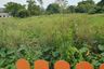 Land for sale in Chalong, Phuket