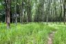 Land for sale in Thai Mueang, Phang Nga