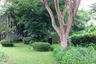 4 Bedroom House for sale in Karon, Phuket