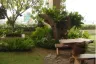 1 Bedroom Condo for rent in My Resort Bangkok, Bang Kapi, Bangkok near MRT Phetchaburi