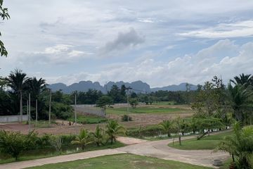 Land for sale in Krabi Noi, Krabi