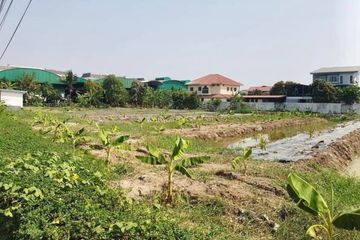 Land for sale in Bang Na, Bangkok