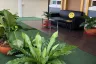 3 Bedroom House for Sale or Rent in Phuket Villa Chaofah, Wichit, Phuket