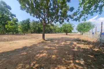 Land for sale in Nong Prue, Chonburi