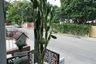 4 Bedroom Commercial for sale in Si Phum, Chiang Mai