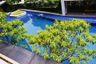 1 Bedroom Condo for sale in Metro Luxe Kaset, Sena Nikhom, Bangkok