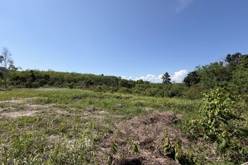 Land for sale in Thep Krasatti, Phuket