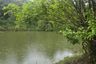 Land for sale in Choeng Doi, Chiang Mai