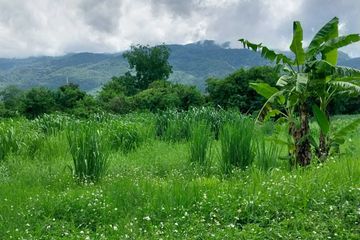 Land for sale in Don Kaeo, Chiang Mai