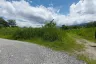 Land for sale in Don Kaeo, Chiang Mai