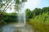 5 Bedroom House for sale in Thung Tom, Chiang Mai