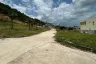 Land for sale in Mae Nam, Surat Thani