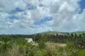 Land for sale in Mae Nam, Surat Thani