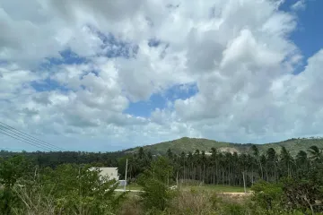 Land for sale in Mae Nam, Surat Thani