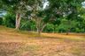 Land for sale in Rim Tai, Chiang Mai