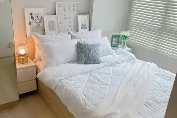 1 Bedroom Condo for rent in Nue Noble Srinakarin - Lasalle, Samrong Nuea, Samut Prakan near MRT Si La Salle