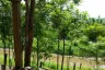 Land for sale in Khilek, Chiang Mai