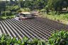 Land for sale in Inthakhin, Chiang Mai
