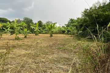 Land for sale in Rim Tai, Chiang Mai