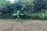 Land for sale in Rim Tai, Chiang Mai