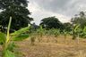 Land for sale in Rim Tai, Chiang Mai