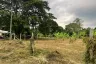 Land for sale in Rim Tai, Chiang Mai