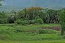 Land for sale in Rim Tai, Chiang Mai